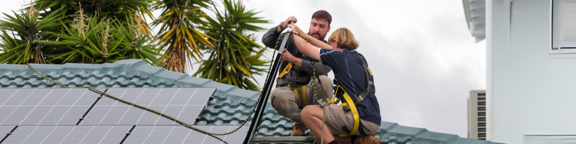 Hiring an apprentice or trainee